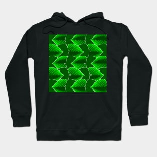 A beautiful and pretty leaf pattern. Hoodie